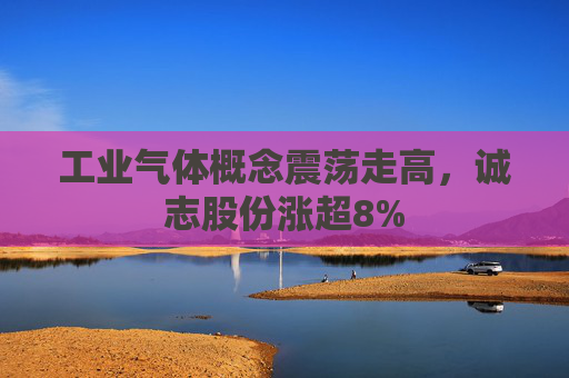 工业气体概念震荡走高，诚志股份涨超8%