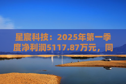 星宸科技：2025年第一季度净利润5117.87万元，同比增长0.48%