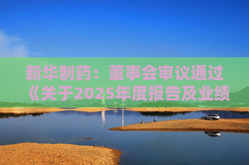 新华制药：董事会审议通过《关于2025年度报告及业绩公告的议案》等多项议案