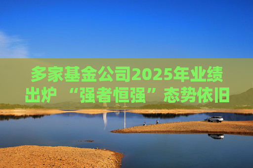 多家基金公司2025年业绩出炉 “强者恒强”态势依旧  第1张