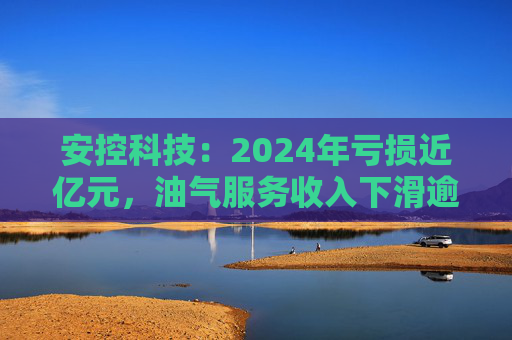 安控科技：2024年亏损近亿元，油气服务收入下滑逾两成  第1张