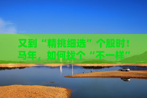 又到“精挑细选”个股时！马年，如何找个“不一样”的基金管理人替你出赛？