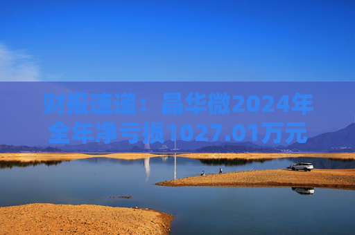 财报速递：晶华微2024年全年净亏损1027.01万元  第1张