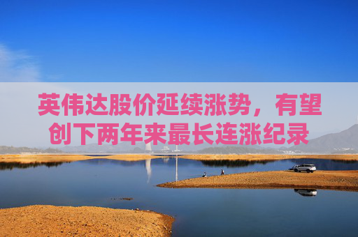 英伟达股价延续涨势，有望创下两年来最长连涨纪录