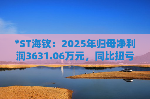 *ST海钦：2025年归母净利润3631.06万元，同比扭亏为盈