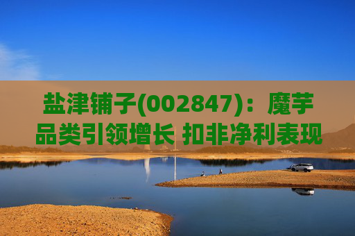 盐津铺子(002847)：魔芋品类引领增长 扣非净利表现亮眼  第1张