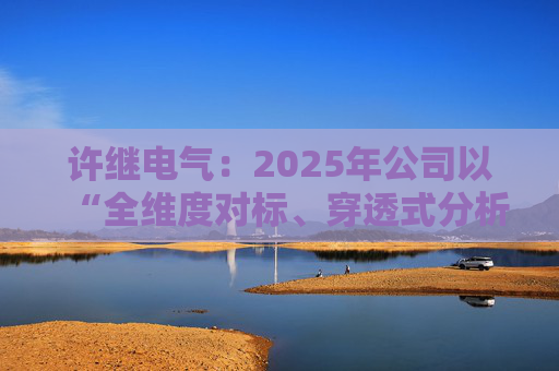 许继电气：2025年公司以“全维度对标、穿透式分析、动态化管控”为核心  第1张