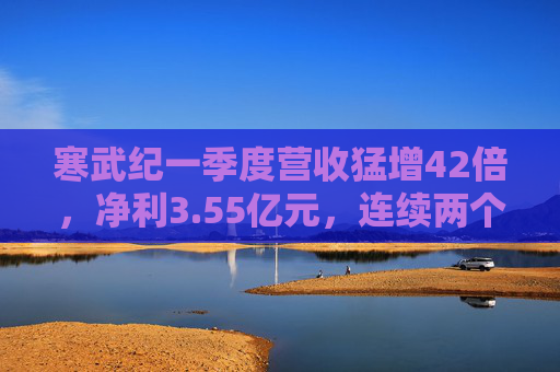 寒武纪一季度营收猛增42倍，净利3.55亿元，连续两个季度盈利