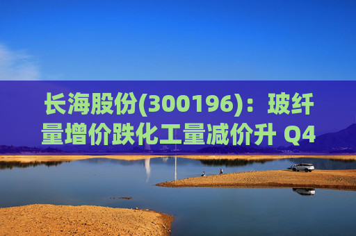 长海股份(300196)：玻纤量增价跌化工量减价升 Q4业绩同比显著修复  第1张
