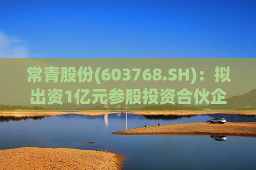 常青股份(603768.SH)：拟出资1亿元参股投资合伙企业