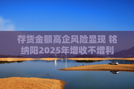存货金额高企风险显现 铭纳阳2025年增收不增利