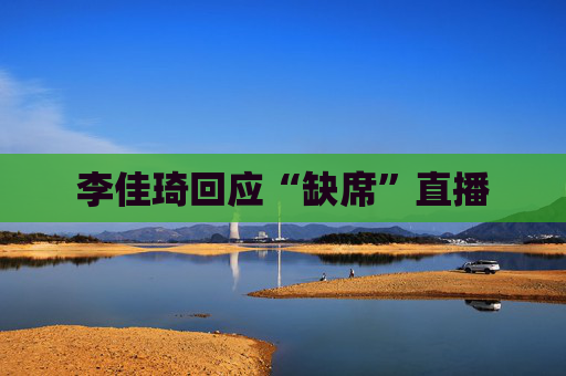 李佳琦回应“缺席”直播  第1张