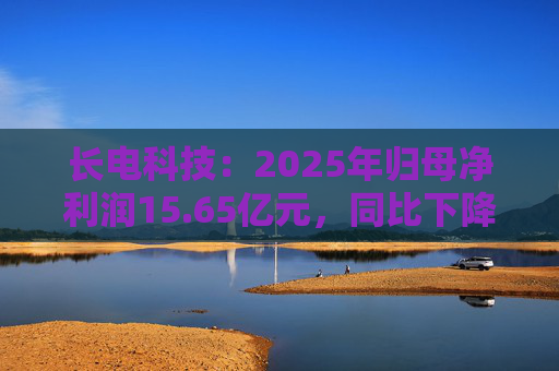 长电科技：2025年归母净利润15.65亿元，同比下降2.75%