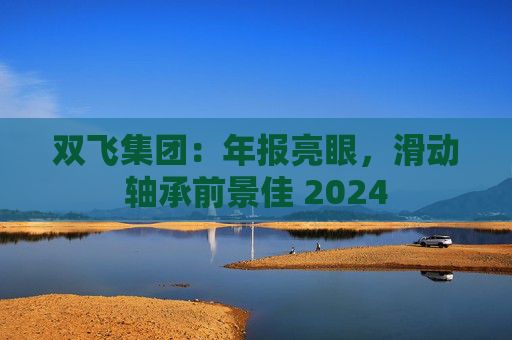 双飞集团：年报亮眼，滑动轴承前景佳 2024
