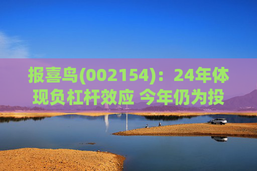 报喜鸟(002154)：24年体现负杠杆效应 今年仍为投入年