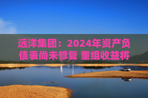远洋集团：2024年资产负债表尚未修复 重组收益将于2025年释放