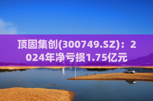 顶固集创(300749.SZ)：2024年净亏损1.75亿元