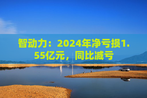 智动力：2024年净亏损1.55亿元，同比减亏