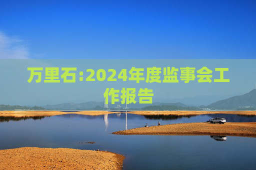 万里石:2024年度监事会工作报告  第1张