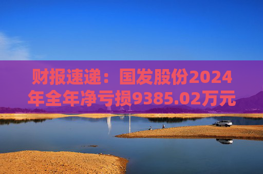 财报速递：国发股份2024年全年净亏损9385.02万元