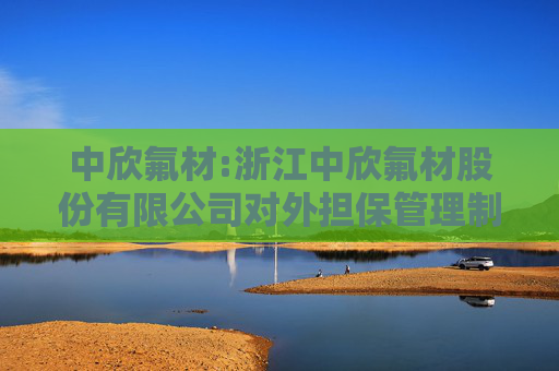 中欣氟材:浙江中欣氟材股份有限公司对外担保管理制度