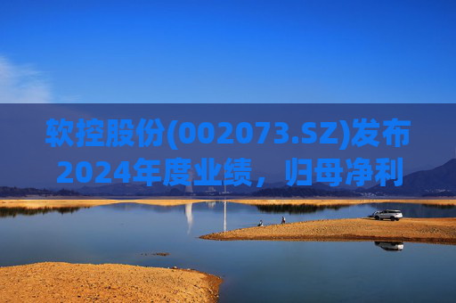 软控股份(002073.SZ)发布2024年度业绩，归母净利润5.06亿元，同比增长51.94%  第1张