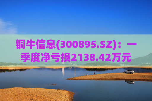 铜牛信息(300895.SZ)：一季度净亏损2138.42万元