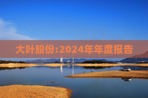 大叶股份:2024年年度报告  第1张