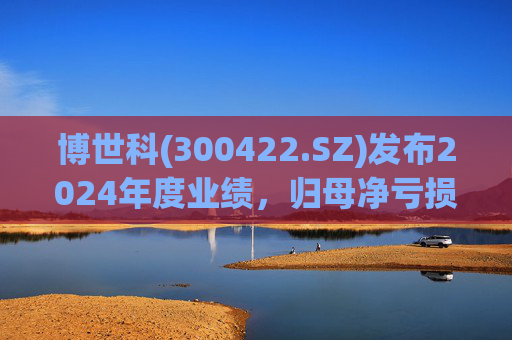 博世科(300422.SZ)发布2024年度业绩，归母净亏损8.65亿元，扩大300.66%