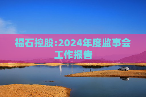 福石控股:2024年度监事会工作报告