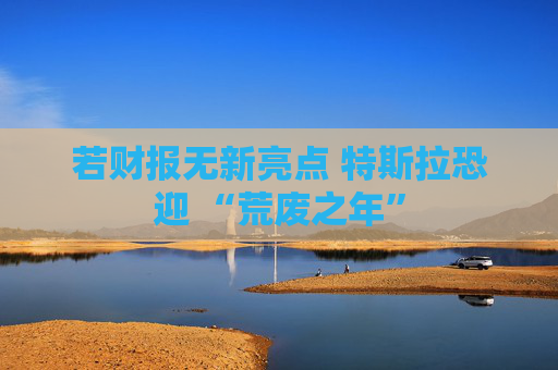 若财报无新亮点 特斯拉恐迎 “荒废之年”