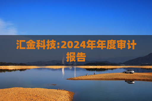 汇金科技:2024年年度审计报告