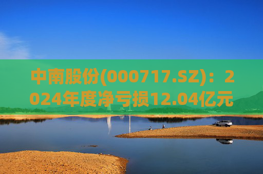 中南股份(000717.SZ)：2024年度净亏损12.04亿元