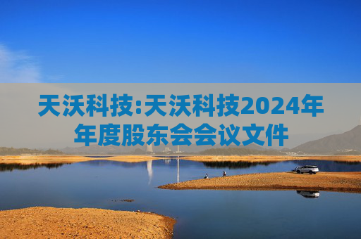 天沃科技:天沃科技2024年年度股东会会议文件