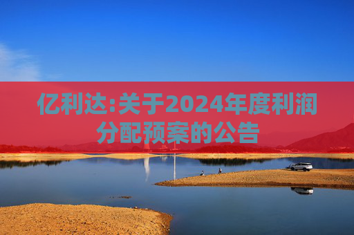 亿利达:关于2024年度利润分配预案的公告  第1张