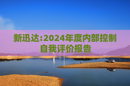 新迅达:2024年度内部控制自我评价报告