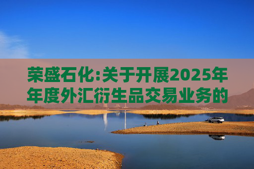 荣盛石化:关于开展2025年年度外汇衍生品交易业务的公告  第1张
