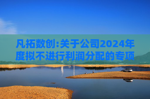 凡拓数创:关于公司2024年度拟不进行利润分配的专项说明