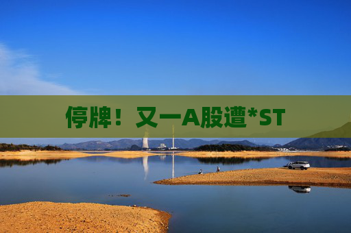 停牌！又一A股遭*ST