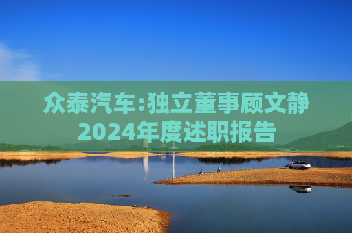 众泰汽车:独立董事顾文静2024年度述职报告