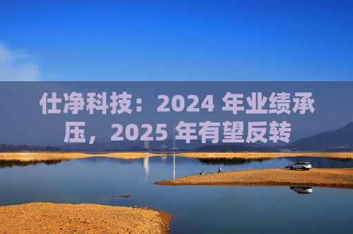 仕净科技：2024 年业绩承压，2025 年有望反转  第1张