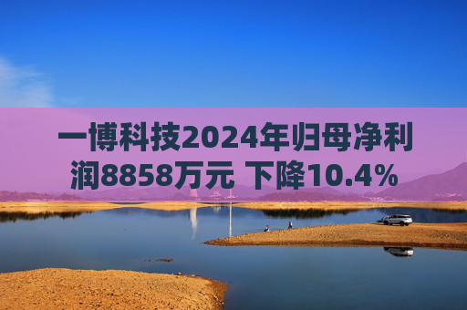 一博科技2024年归母净利润8858万元 下降10.4%