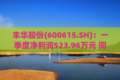 丰华股份(600615.SH)：一季度净利润523.96万元 同比增长645.11%  第1张