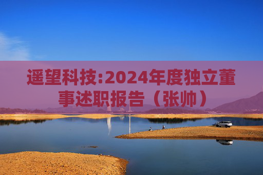 遥望科技:2024年度独立董事述职报告（张帅）