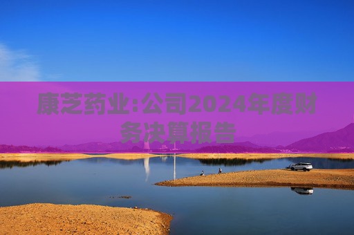康芝药业:公司2024年度财务决算报告