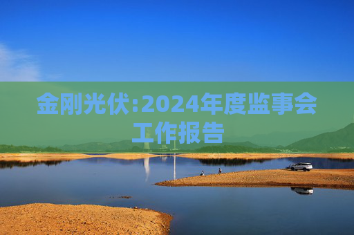 金刚光伏:2024年度监事会工作报告