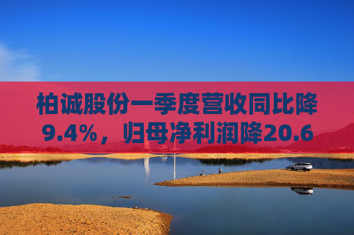 柏诚股份一季度营收同比降9.4%，归母净利润降20.6%