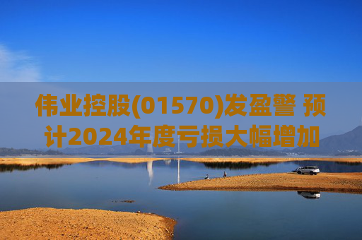 伟业控股(01570)发盈警 预计2024年度亏损大幅增加  第1张