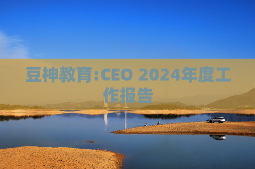 豆神教育:CEO 2024年度工作报告