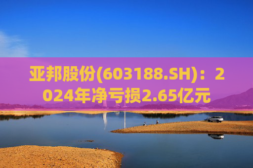 亚邦股份(603188.SH)：2024年净亏损2.65亿元